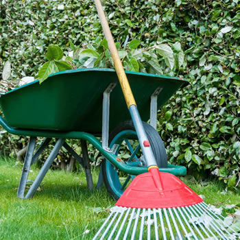 Wheelbarrows 